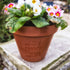 If ... Were Flowers Plant Pot